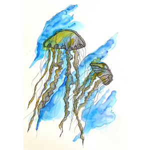 Monique Bergevin - Jellyfish